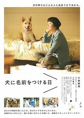 八角笼中电影
